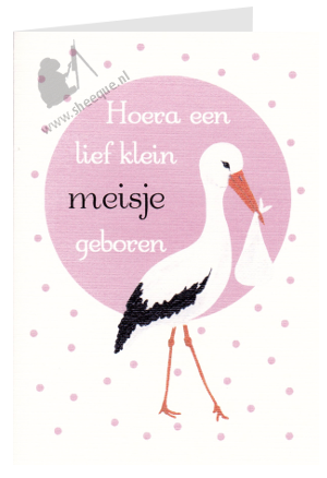 kaartje